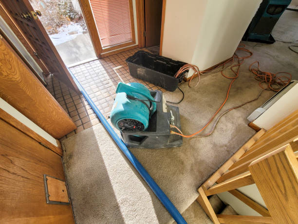 Best Basement water damage restoration  in Commerce, OK