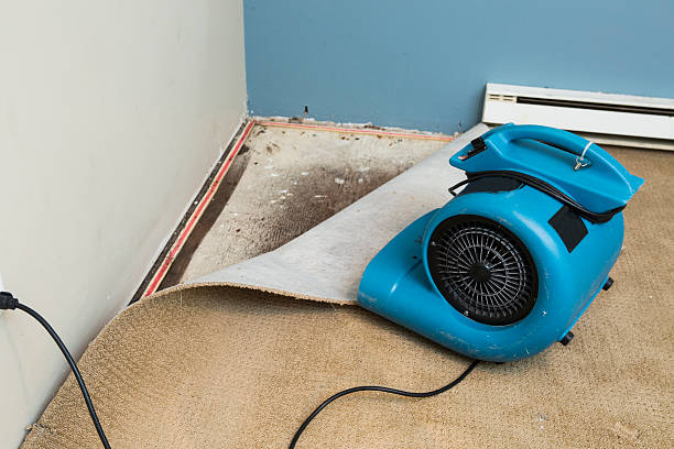 Best Flood damage cleanup  in Commerce, OK